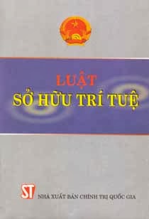 Tư vấn luật sở hữu trí tuệ - Công Ty Luật TNHH Giải Pháp Việt